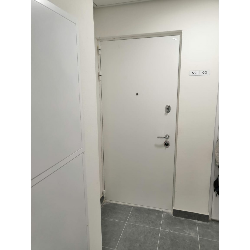 Дверь шагрень. Входная дверь БП - 3 NX 2 (White Ash). Белая входная дверь. Белая входная дверь в квартиру. Дверь входная металлическая белая.