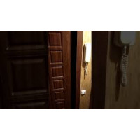 Входная дверь АСД Спартак антик орех темный с порошковым покрытием ПВХ в квартиру
